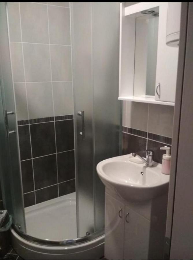 Talija Apartman Daire Vrnjačka Banja Dış mekan fotoğraf